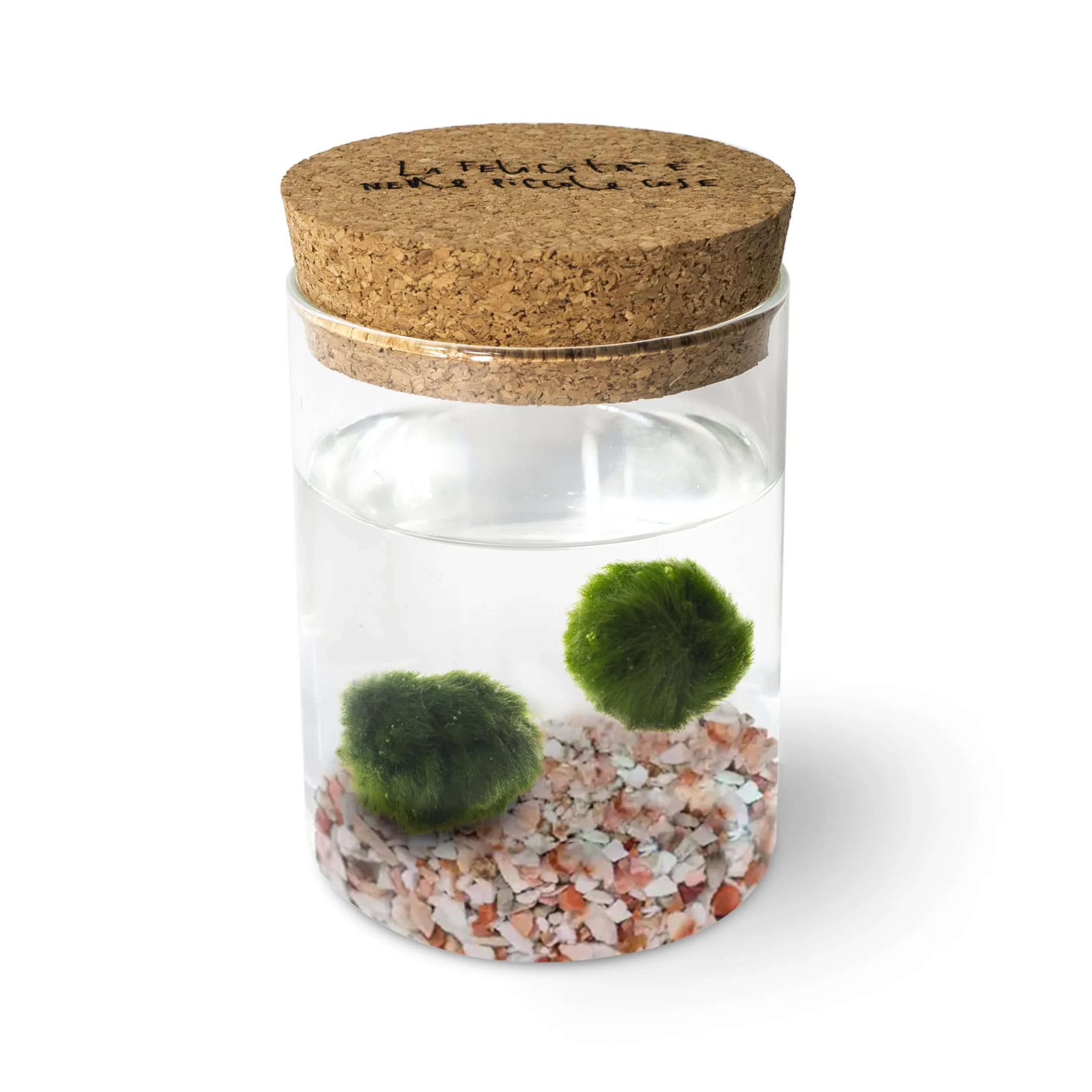 La Felicità è Nelle Piccole Cose Marimo Coppia originale vaso vetro con tappo sughero artigianale fondale rosa naturale diametro 8cm altezza 11cm Made in Italy