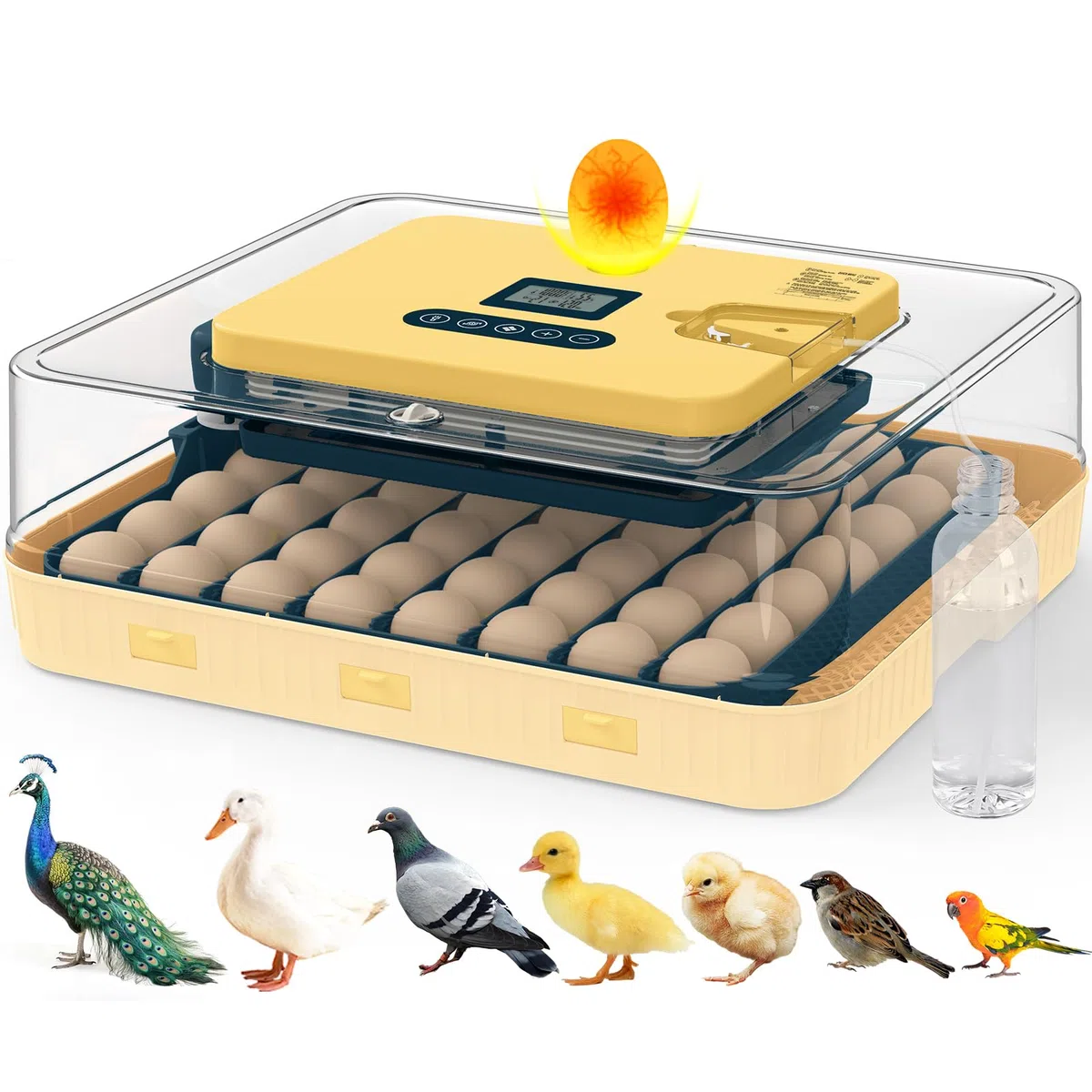Incubatrice per uova da cova, incubatrice per 56 uova con candela per uova, tornitore automatico per uova, controllo temperatura e umidità, giorno della schiusa, visualizzazione a 360° per pollo