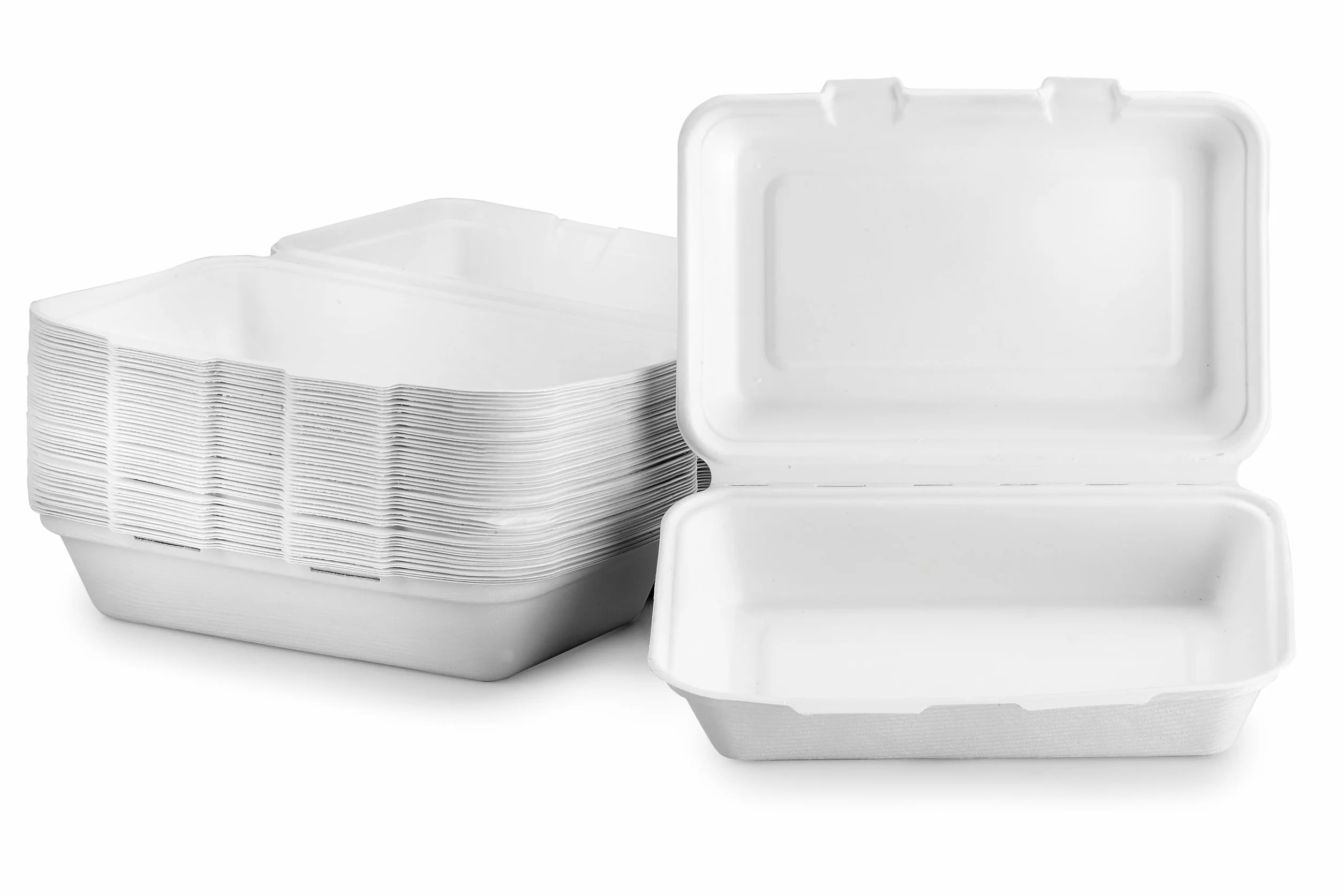 Bagasse Box da asporto scomparto 165 x 240 x 80 mm Set da 50 biodegradabile compostabile riciclabile