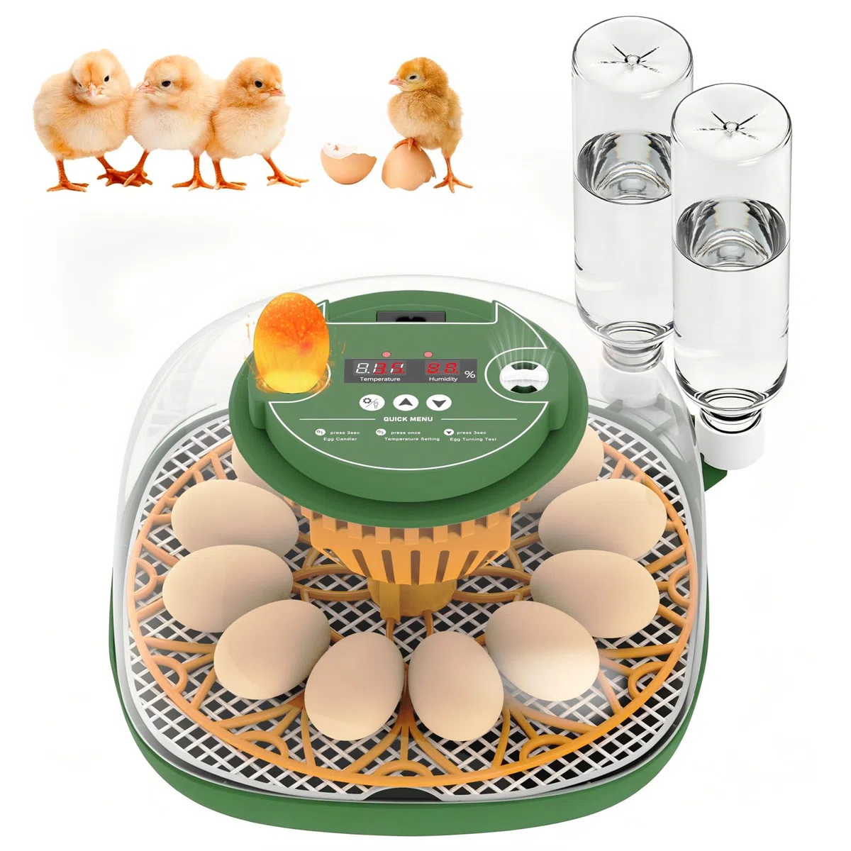 Incubatrice per Uova Automatica, 12 Uova, con Aggiunta Automatica Dell'Acqua, Girauova Automatico, Controllo Temperatura e Umidità, Funzione Speratura , Visuale a 360°, per Galline, Quaglie, Anatre(A)