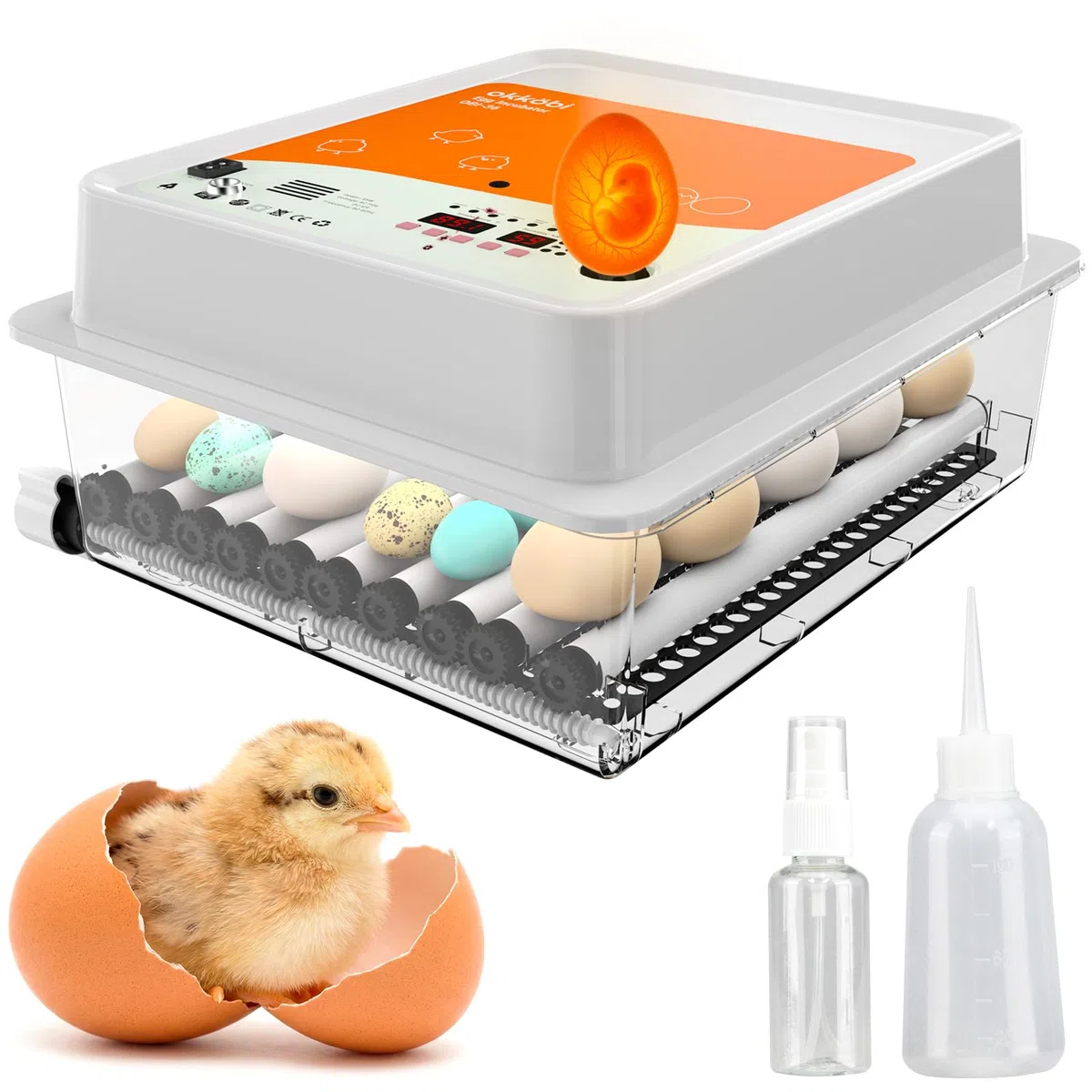 OBI-36 Incubatrice Automatica – Incubatrice uova per 36 uova con Rivoltamento Automatico - Incubatrice uova gallina, quaglia e anatra - Arancione
