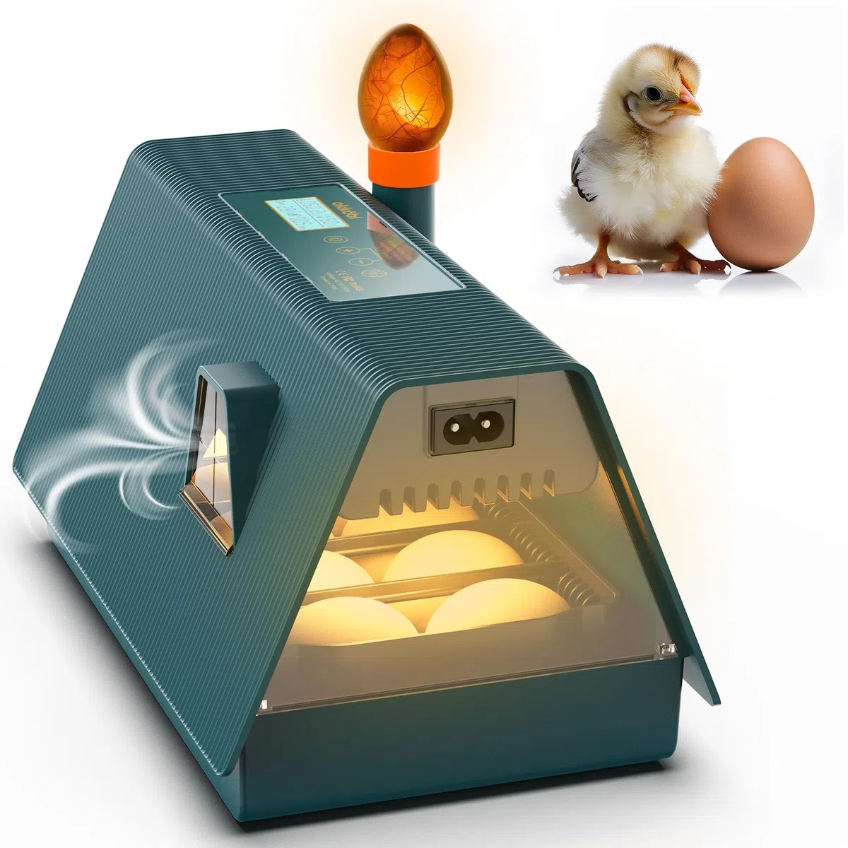 Okkobi M10 Incubatrice per Uova - Ideale per tutte le età - Incubatrice per Uova Automatica Piccola con Girauova Automatico e Controllo Umidità - Lampada per Uova - 10 uova - Verde e Arancione