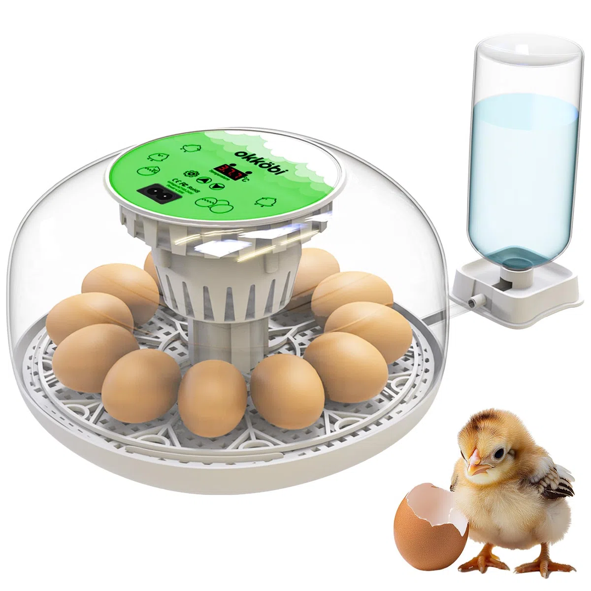 Okkobi M12 - Incubatrice per uova automatica con Girauova Automatico e Controllo Umidità - Incubatrice uova gallina - 12/24 uova, vista a 360°, facile da usare e pulire - Bianco e verde