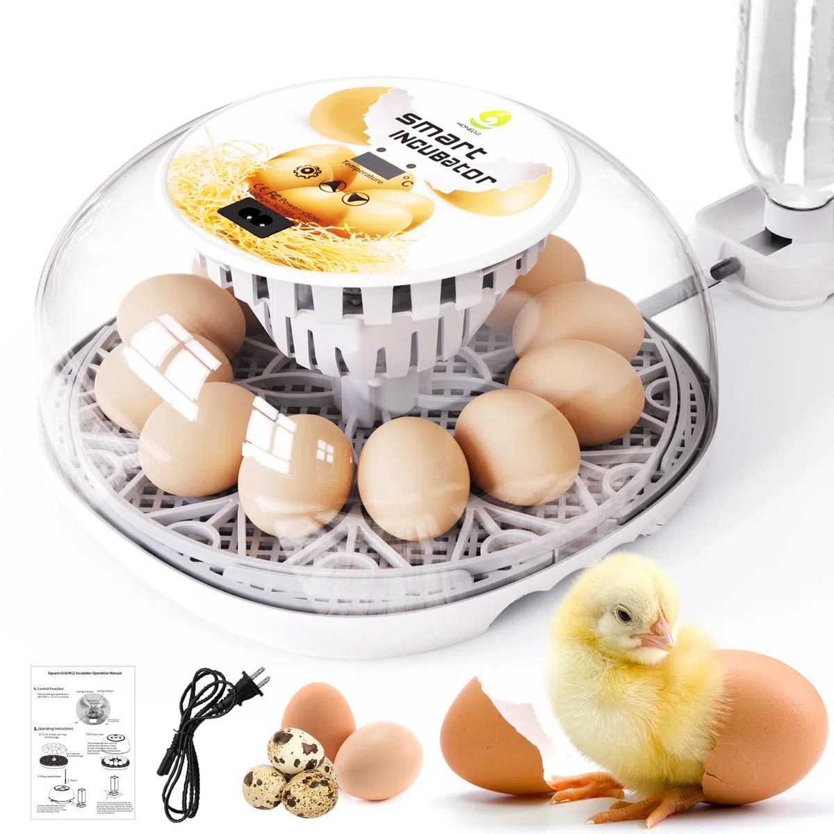 Incubatrice per uova da cova Incubatrice per uova 12 uova con rotazione automatica delle uova e controllo dell'umidità Visualizzazione a 360° per pollo, anatre, oca, piccione, quaglia