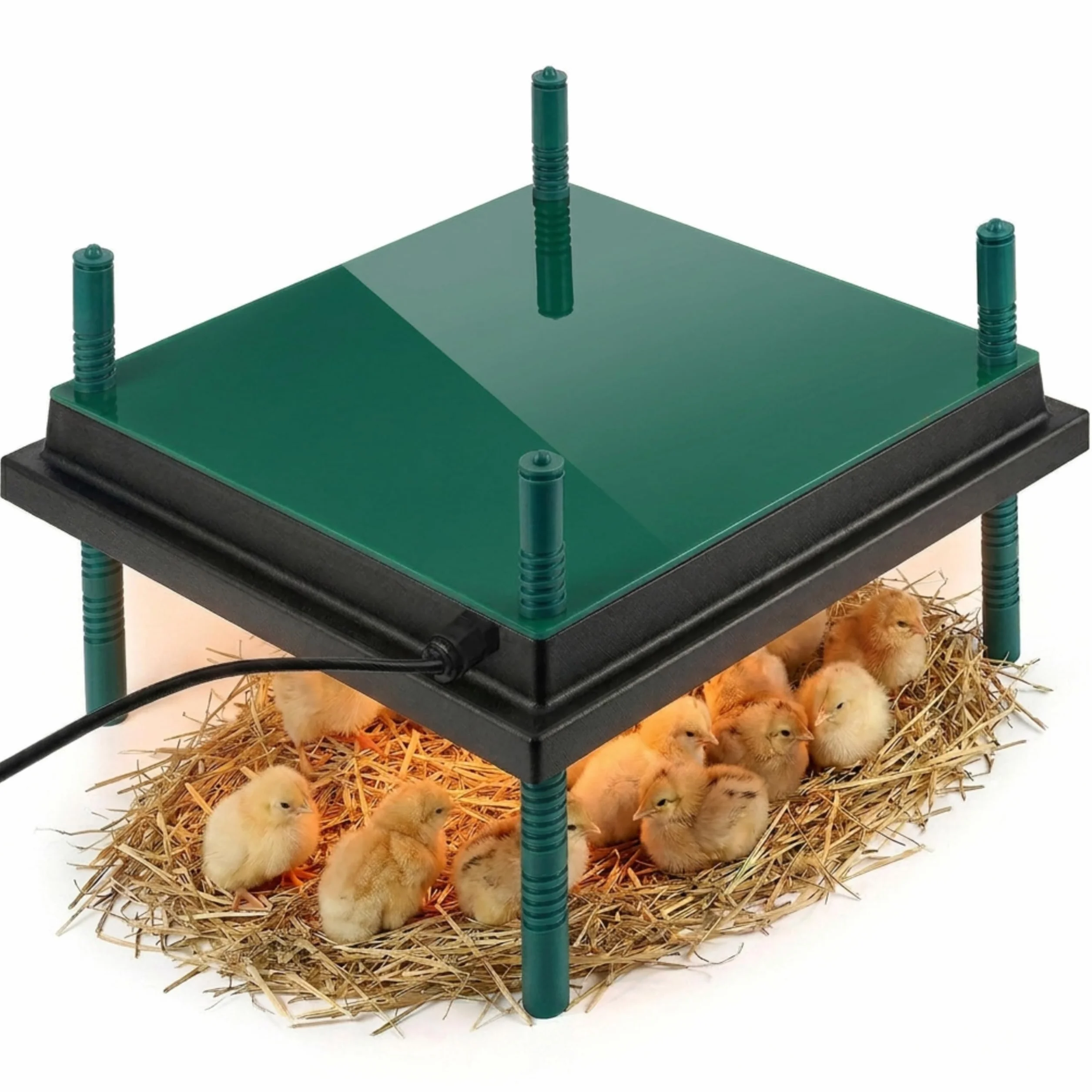 Dural’s® Piastra Riscaldante Pulcini (-80% di Energia) con Copertura - Pannello Allevamento 30W (25-30 Pulcini) - Calore Dolce Anti-Stress (Quadrato: 35x35 cm (capacità 25-30 pulcini))