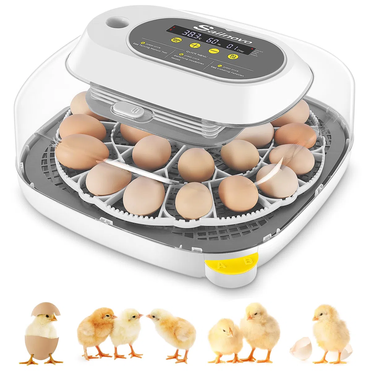 Sailnovo Incubatrice Per 24 Uova Automatica, Incubatrice Uova Gallina, 4 Modalità Incubatrice Con Rotazione Automatica Delle Uova e Controllo Della Temperatura ℉ Per Pollo e Quaglia (Grigio)
