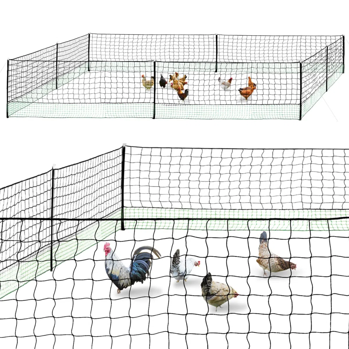 IDMarket - Kit recinzione rete per galline 24 m con porta 9 picchetti doppia punta