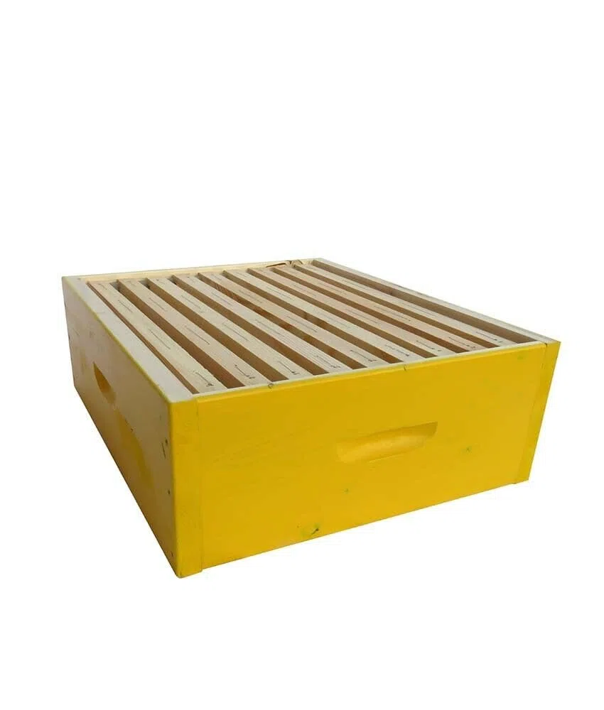 Melario per Arnie nomadismo e Box 10 favi Verniciato 50 x 43,5 cm, Melario per Arnie per Api - Apicoltura con telaini (Senza Cera)