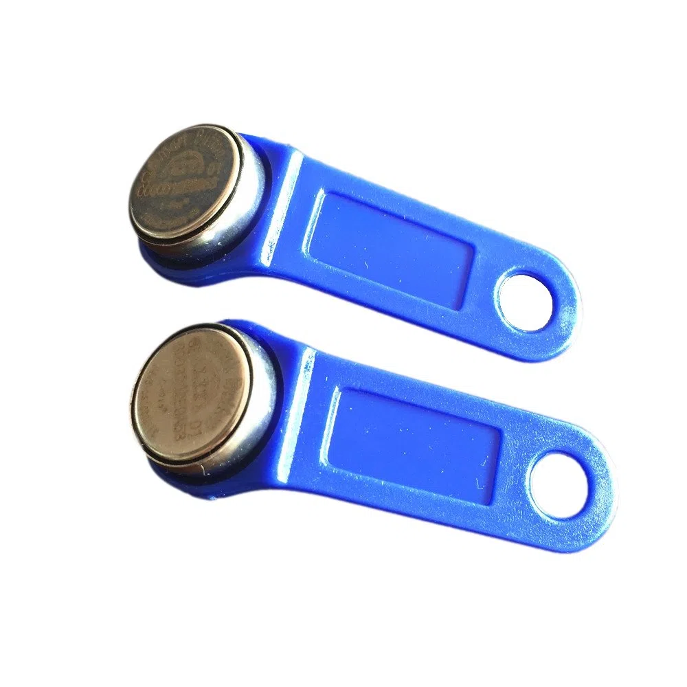 DS1990 A F5 tm1990 iButton I-Button elettronica chiave IB Tag Blu Nero (Confezione da 100)
