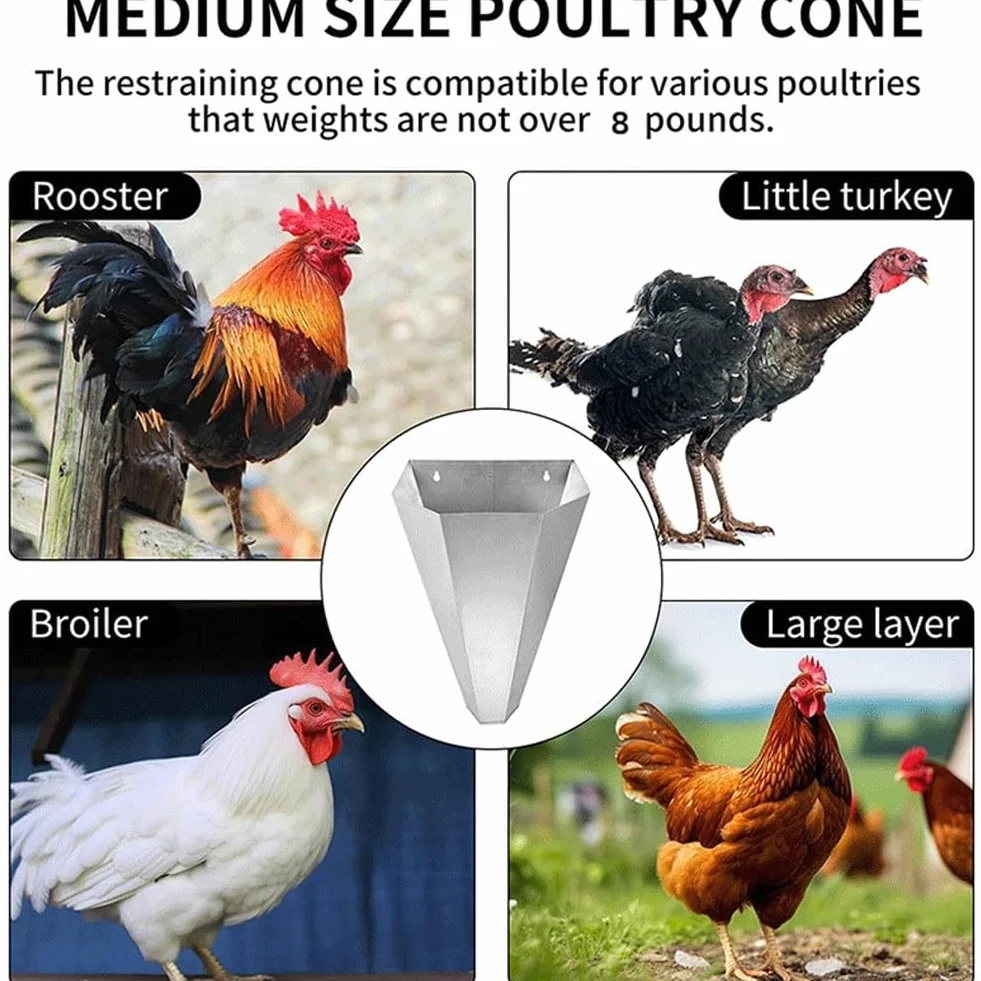 Cono in acciaio per pollame con bordi di sicurezza orlati per polli, tacchini e altre varietà comuni di uccelli da fattoria da 2,7 a 6,4 kg