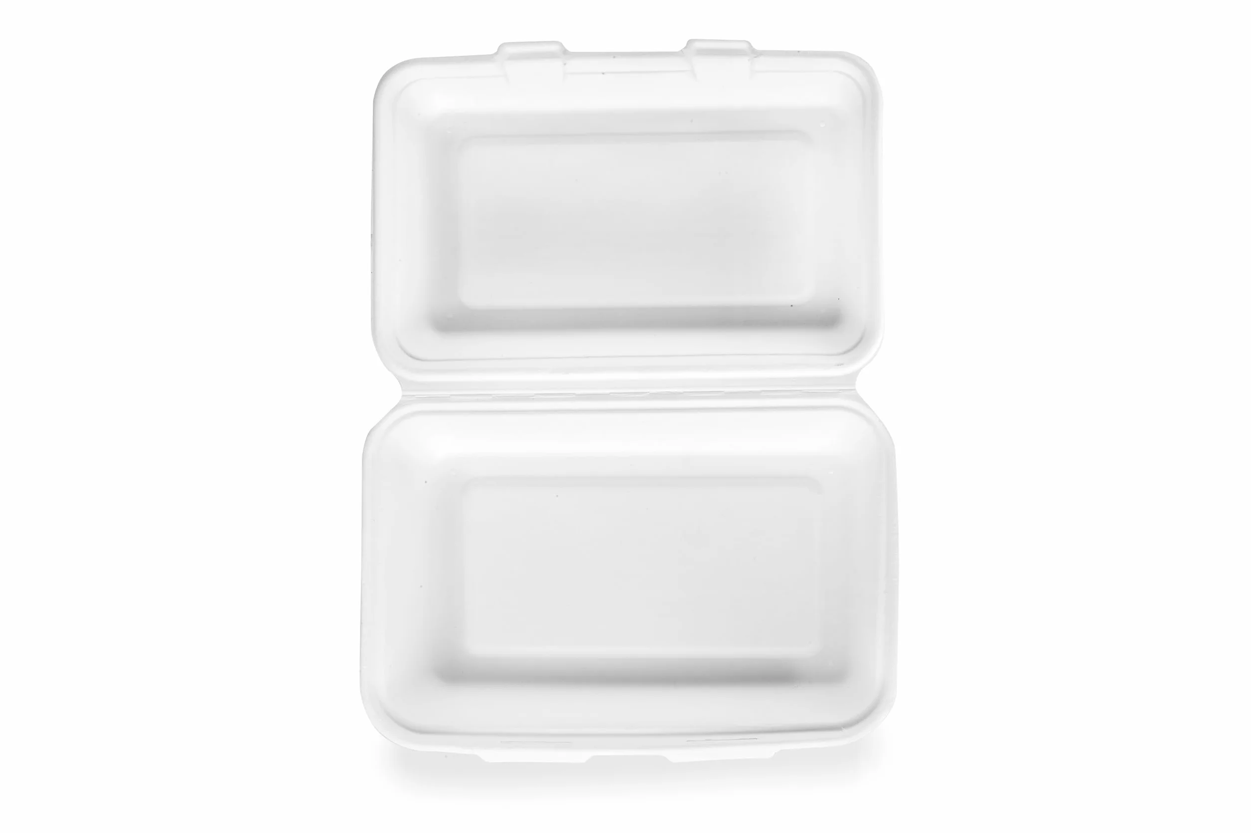Bagasse Box da asporto scomparto 165 x 240 x 80 mm Set da 50 biodegradabile compostabile riciclabile