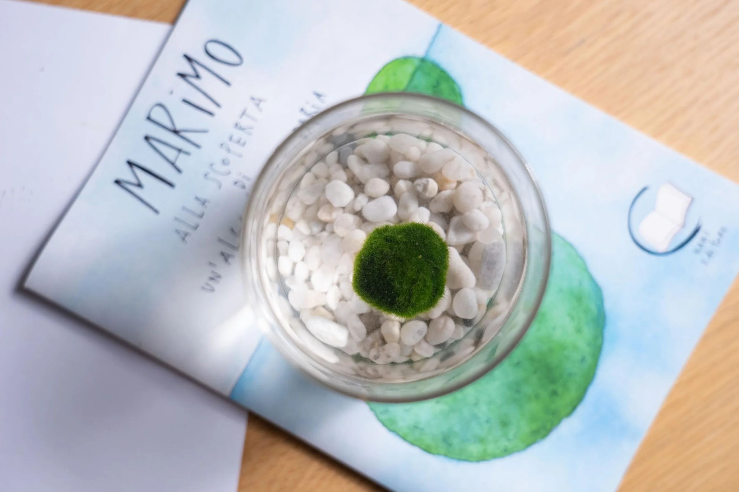 La Felicità è Nelle Piccole Cose Marimo Coppia originale vaso vetro con tappo sughero artigianale fondale rosa naturale diametro 8cm altezza 11cm Made in Italy