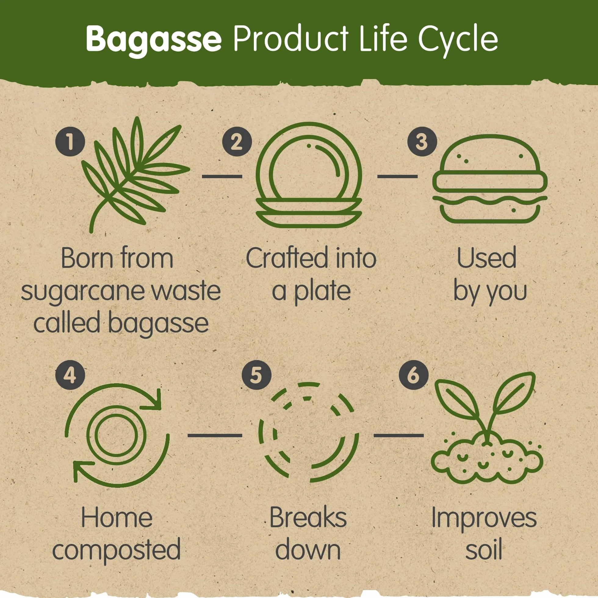 Bagasse Box da asporto scomparto 165 x 240 x 80 mm Set da 50 biodegradabile compostabile riciclabile